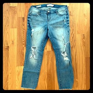Torrid Boyfriend jean